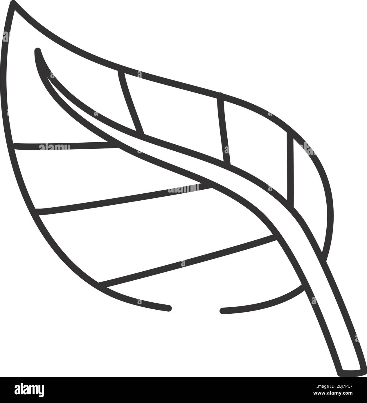 leaf icon over white background, line style, vector illustration Stock ...