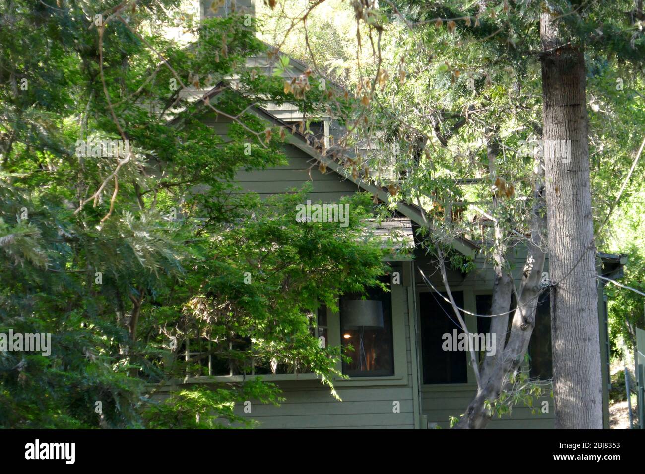 Graham nash joni mitchell hi-res stock photography and images - Alamy