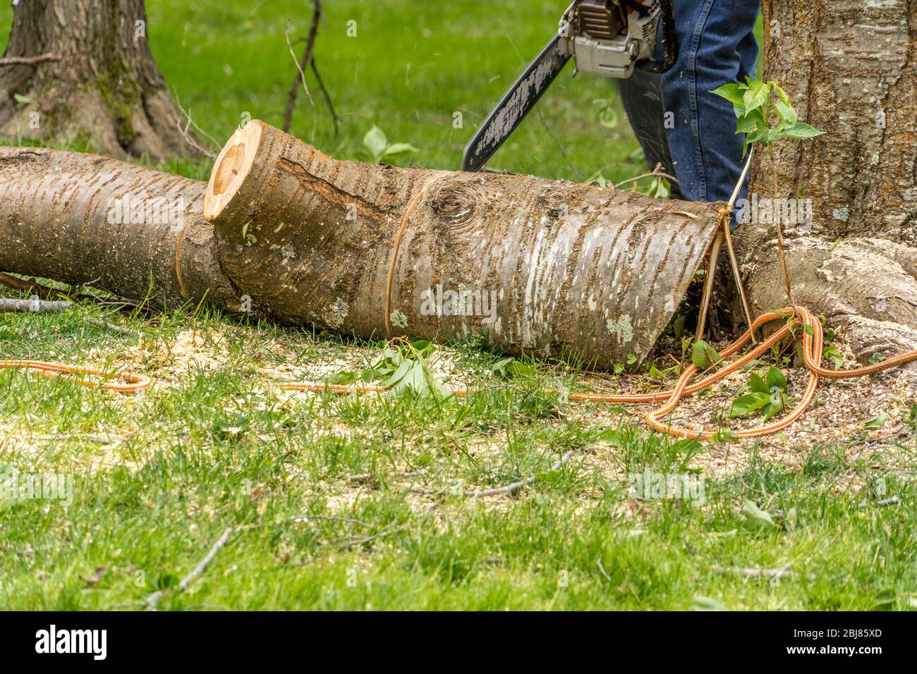 Shredding A Rope Hauling up with a rope hi-res stock photography and images - Alamy