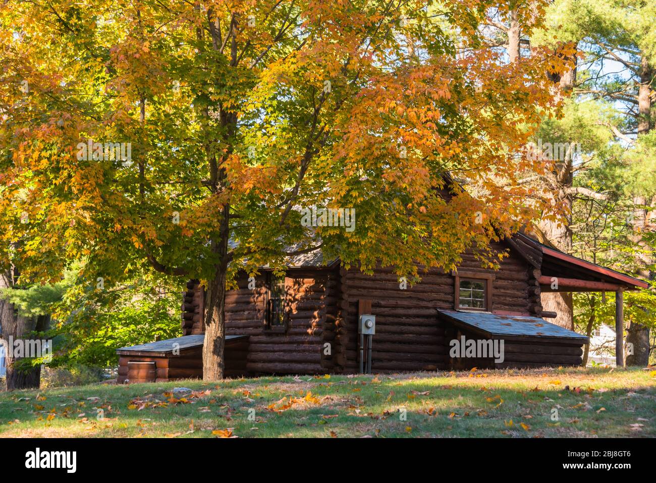 Rustic Log Cabin under Autumn Maple Stock Photo