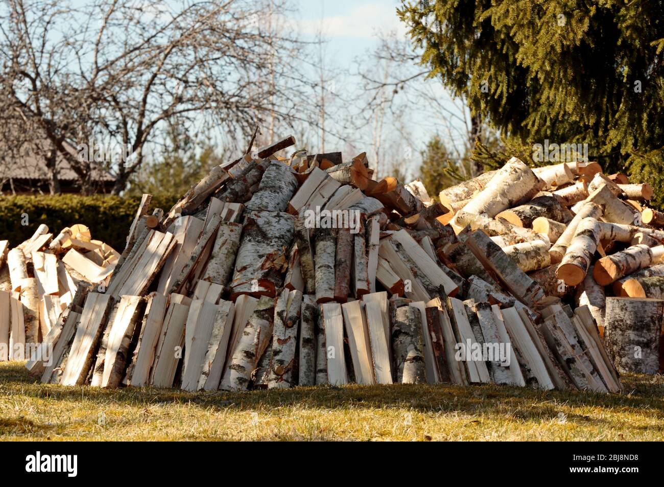A pile of cut firewood drying in springlike sunny weather Stock Photo