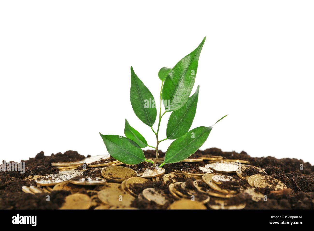 Pile of coins in soil with young plant isolated on white Stock Photo ...