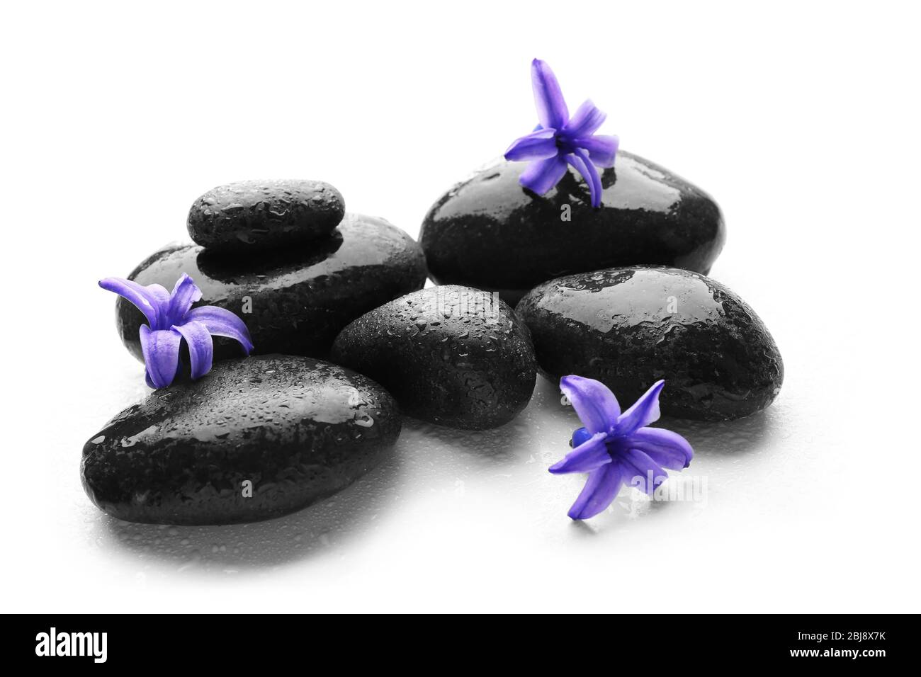 Heap of spa hot stones and flowers isolated on white Stock Photo - Alamy