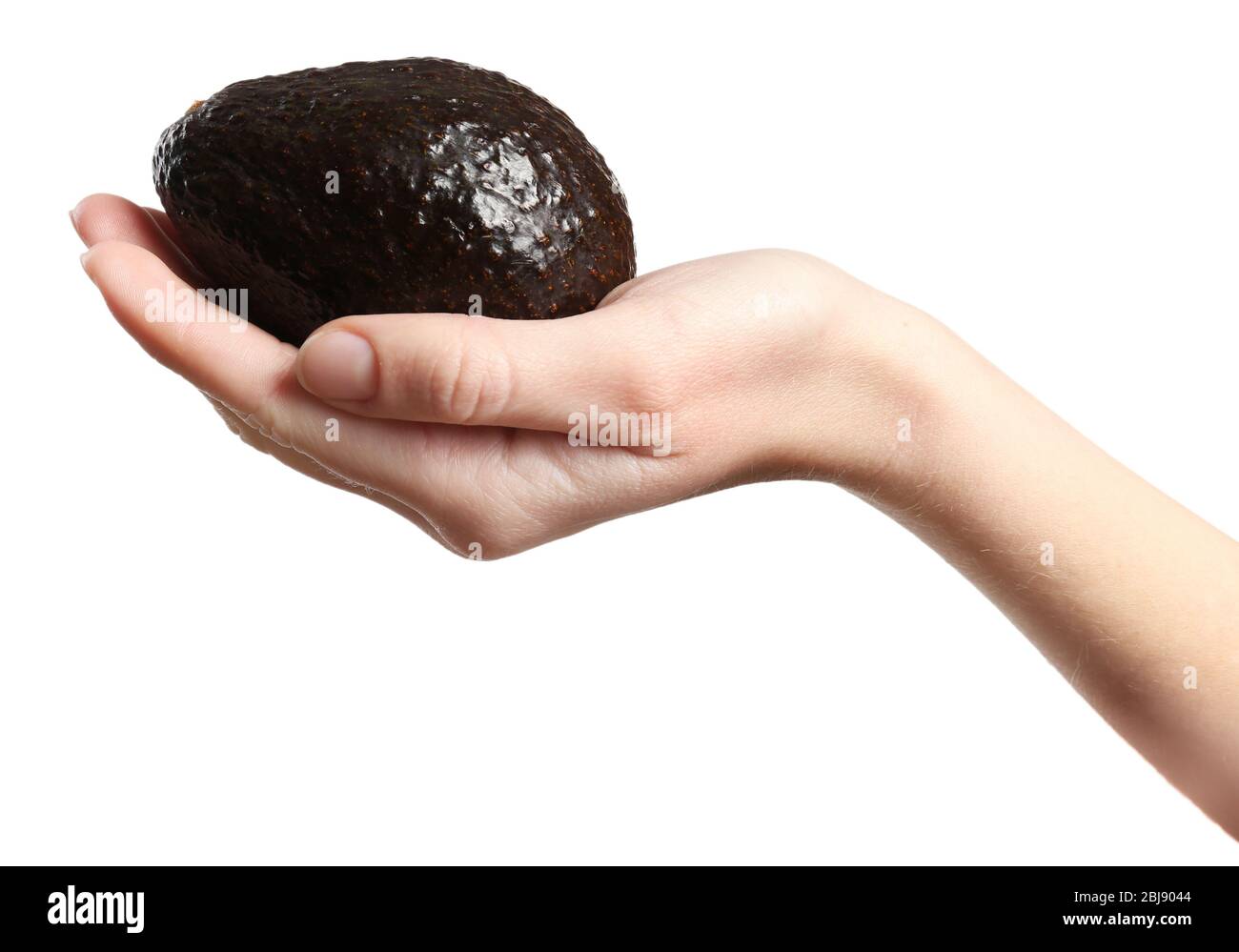Female hand holding avocado isolated on white Stock Photo - Alamy
