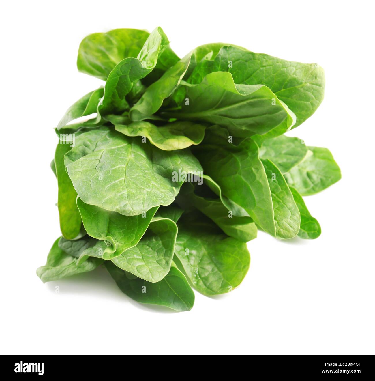 Fresh spinach leaves isolated on white background Stock Photo - Alamy