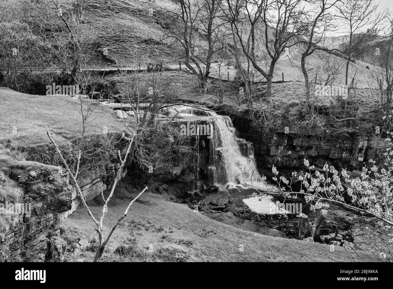 Early Spring at East Gill Force below Keld, Swaledale, North Yorkshire, England, UK.  Black and white version Stock Photo