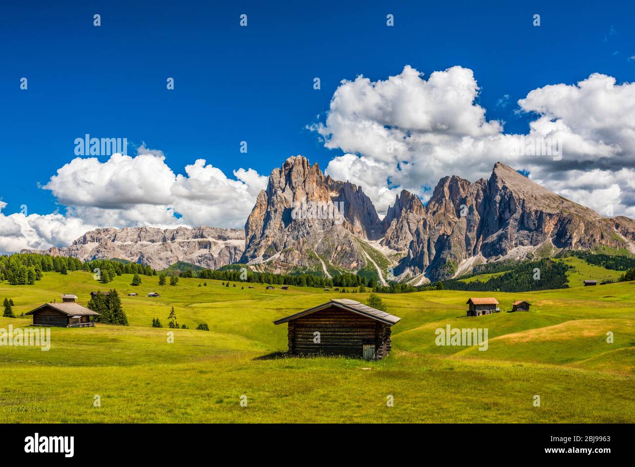 Magic Of The Dolomites In Summer Alpe Di Siusi UNESCO Italy Stock magic-of-the-dolomites-in-summer-alpe-di-siusi-unesco-italy-stock