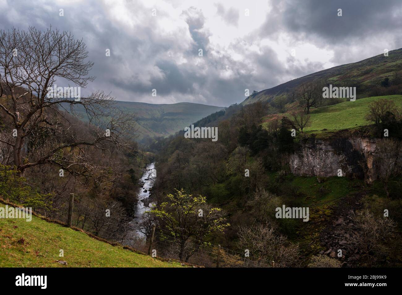 The River Swale at  Birk Hill below Keld, North Yorkshire Stock Photo