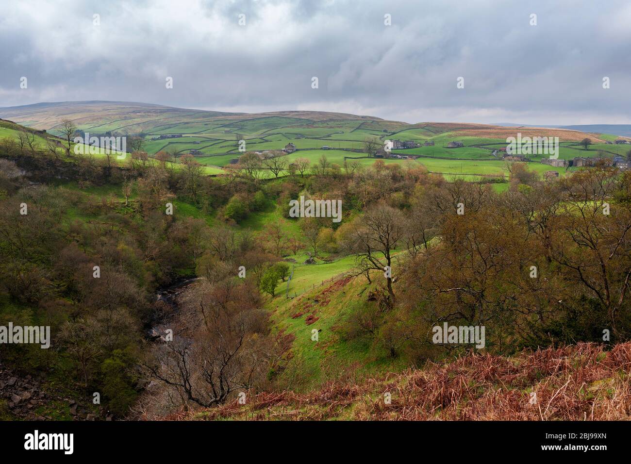 Upper Swaledale near Keld, North Yorkshire, England, UK, from Beldi Hill Stock Photo