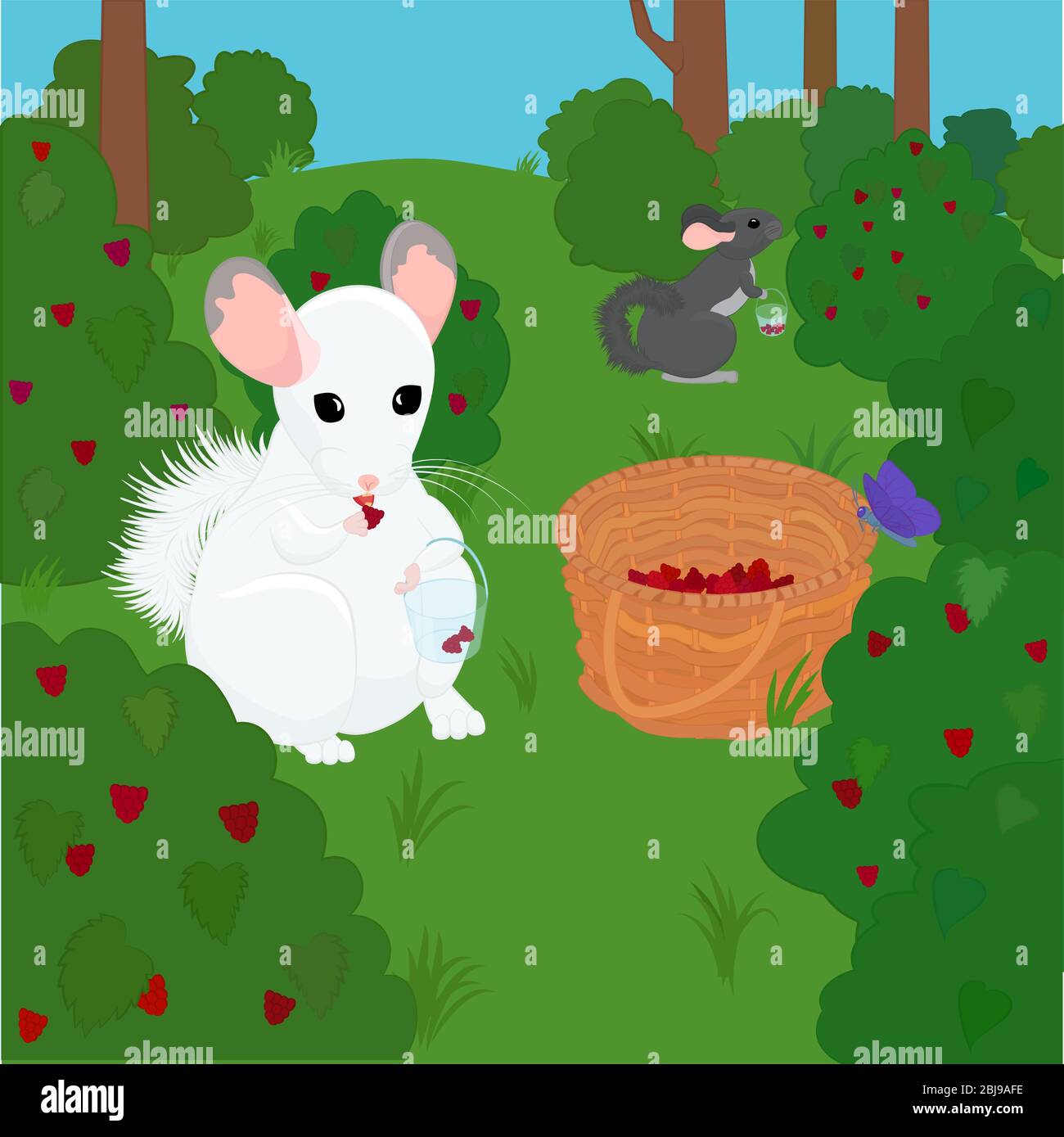 two chinchillas gray and white pick raspberries in summer. Stock vector illustration Stock Vector