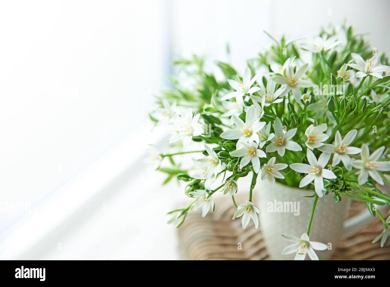 Bouquet of little white flowers on wicker furniture Stock Photo