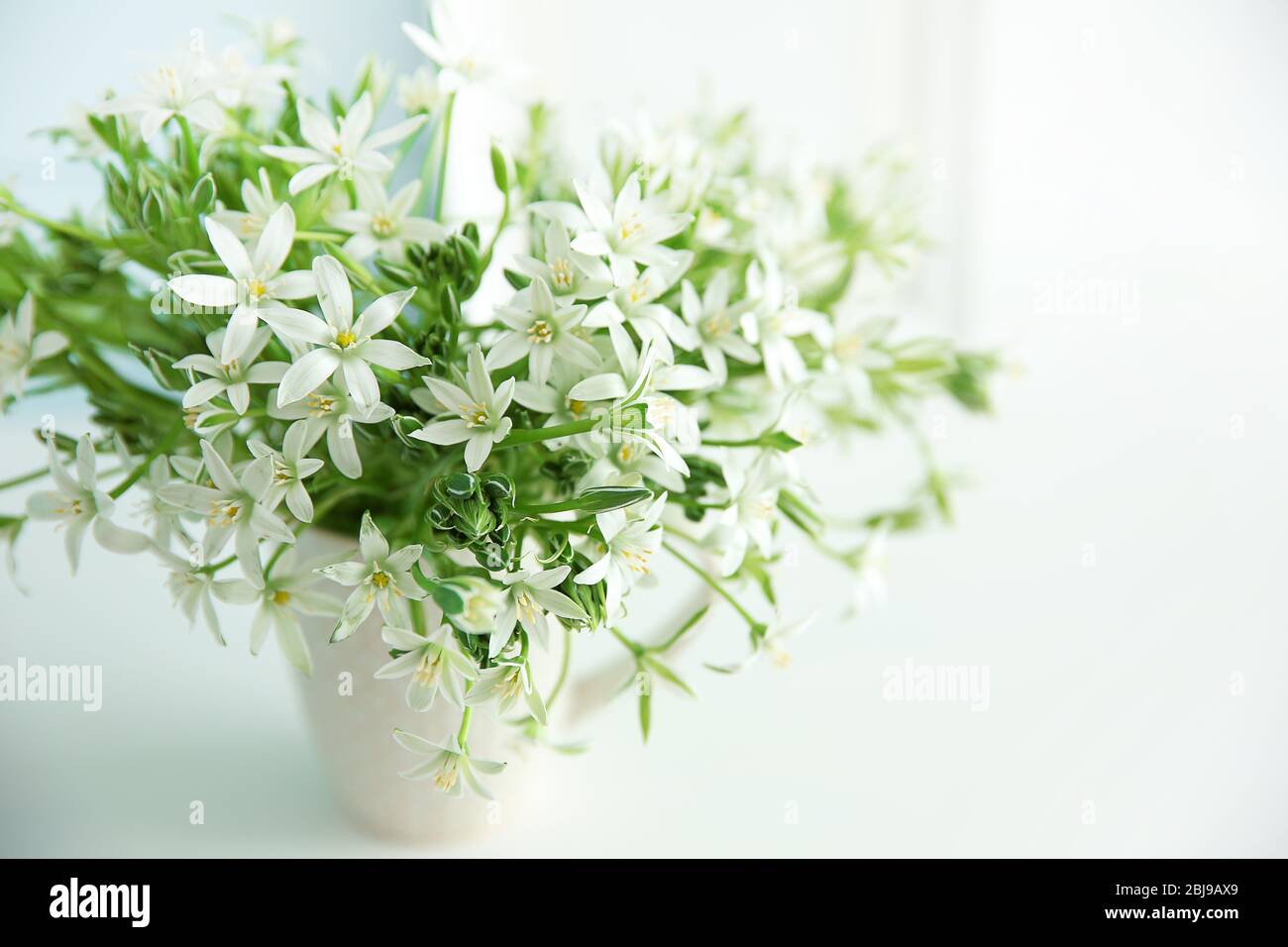 Bouquet of little white flowers on light background Stock Photo
