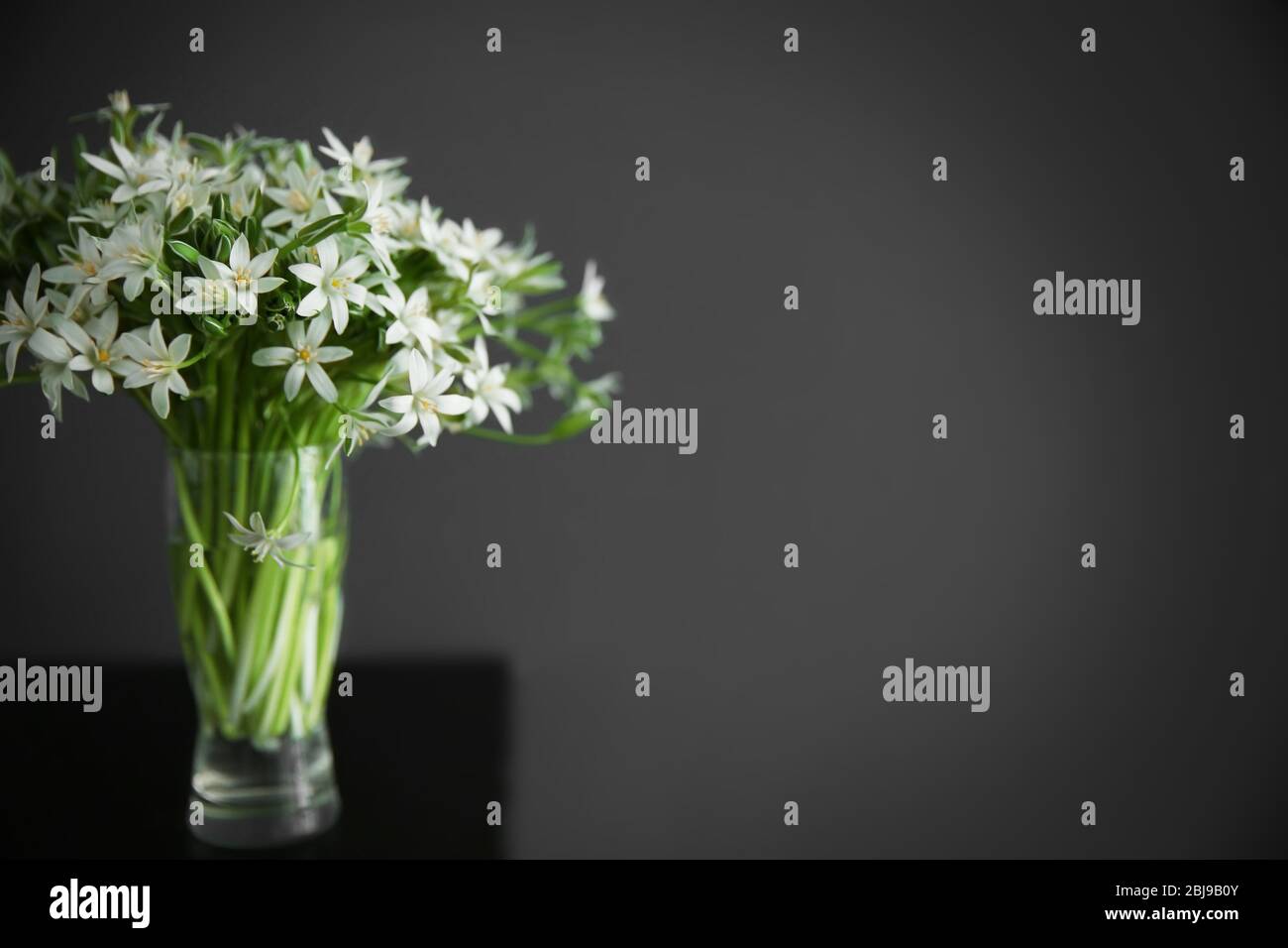 Bouquet of little white flowers on dark background Stock Photo