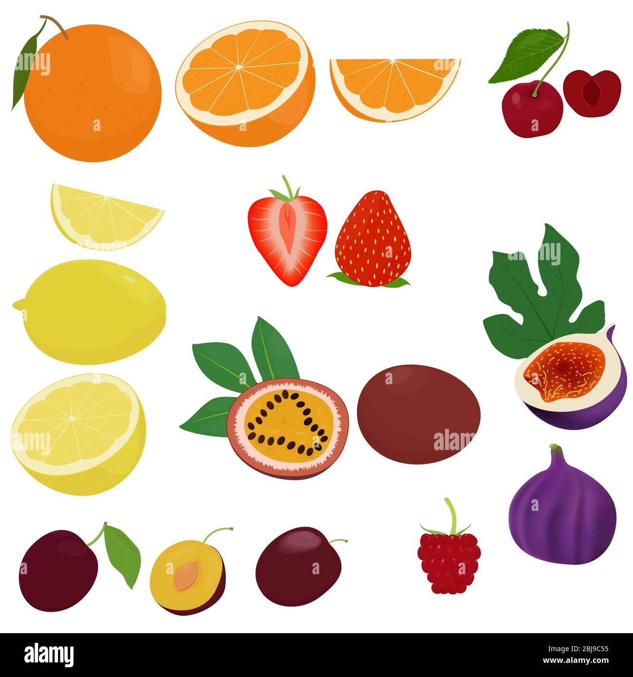 Set of different berries on a white background Vector Image