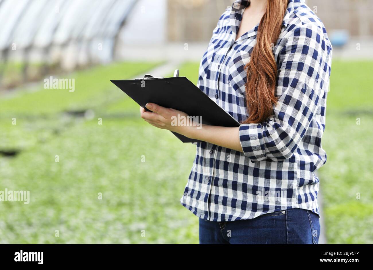 Female farmer working in large greenhouse Stock Photo - Alamy