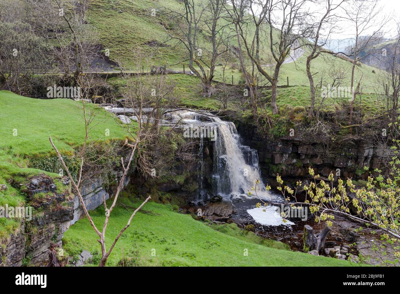 Early Spring at East Gill Force below Keld, Swaledale, North Yorkshire, England, UK Stock Photo