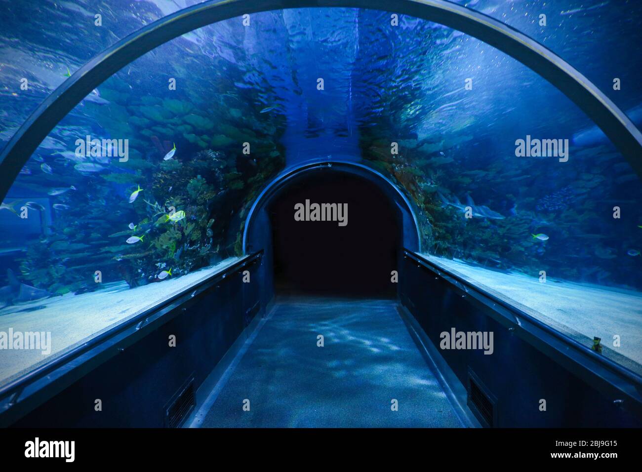 Empty Fish Tank High Resolution Stock Photography and Images - Alamy