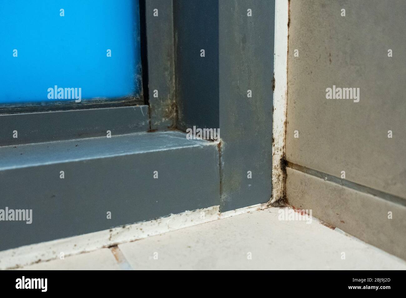 Old plastic window frame in the shower. Moldy angle, fungus. Problem
