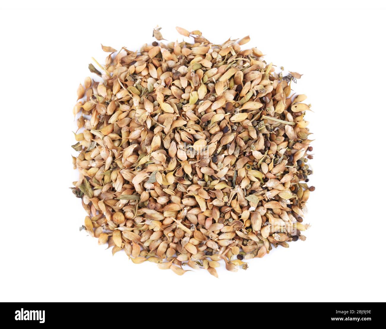 Dried utsho suneli isolated on white Stock Photo - Alamy