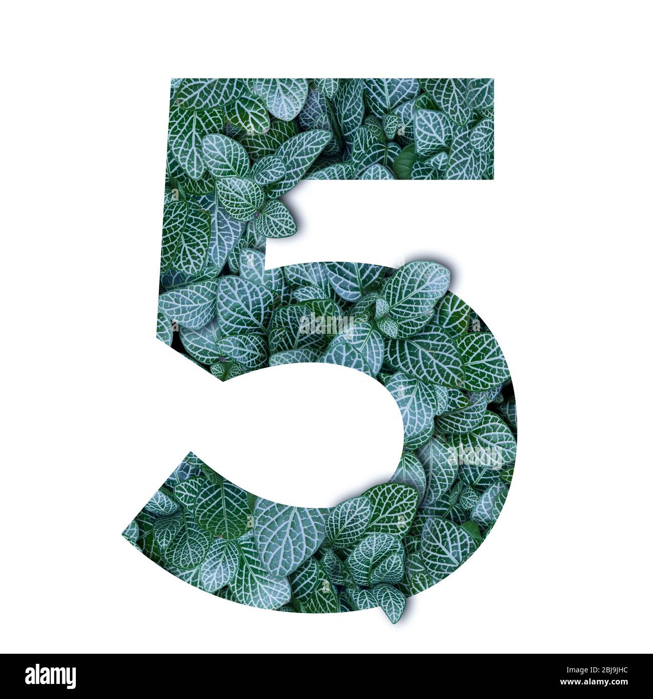 Nature concept alphabet of green leaves in number five shape Stock ...
