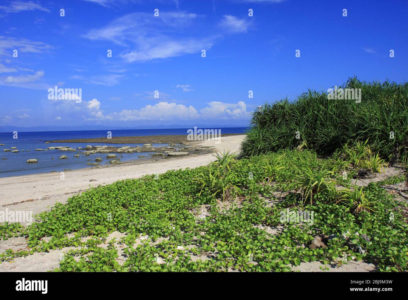The Saint Martin's Island, locally known as Narkel Jinjira, is the only coral island and one of the most famous tourist spots of Bangladesh. Stock Photo