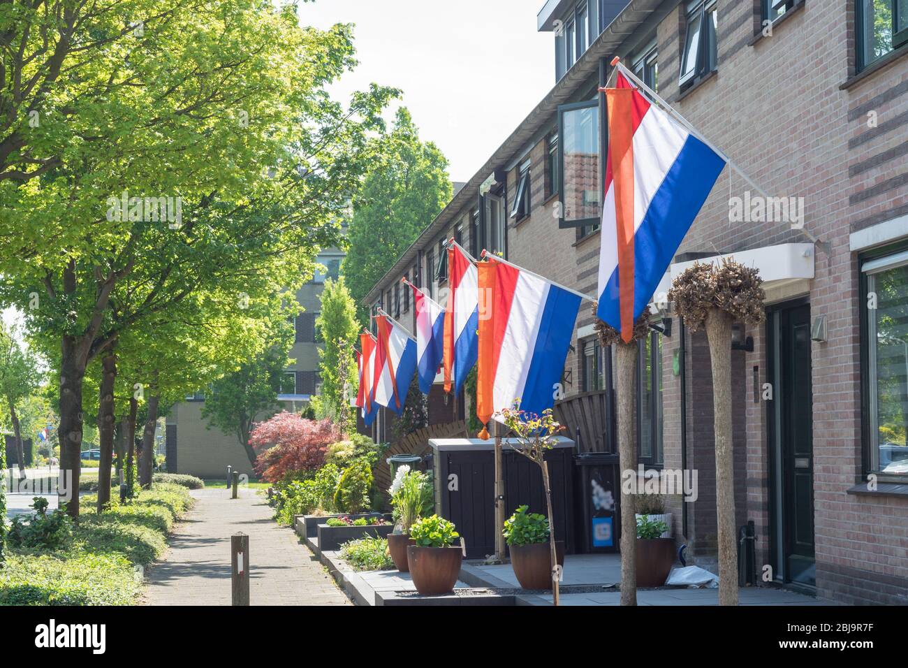 Street with dutch flags hanging outside on 'Kingsday', a national holiday in The Netherlands Stock Photo
