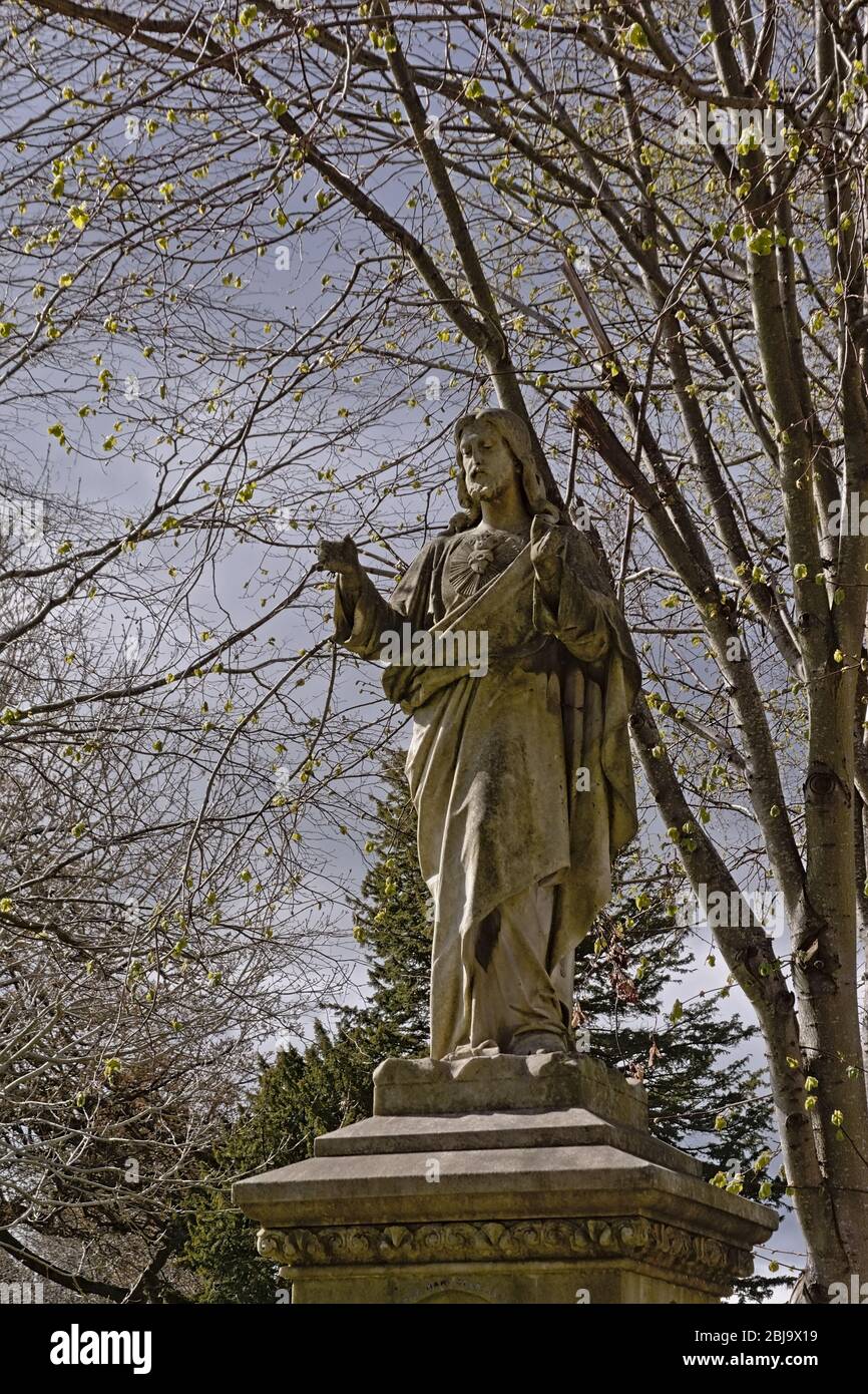 Historical Jesus christ with sacred heart statue in between trees with