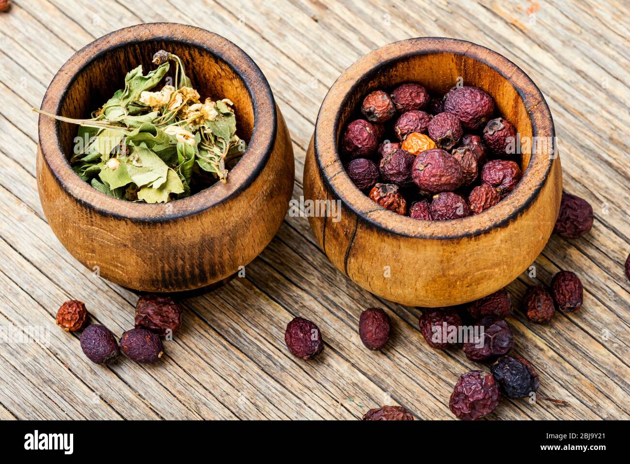 Medicinal plant hawthorn or haw in herbal medicine.Homeopathy Stock