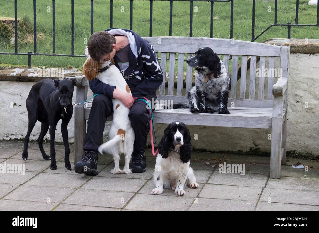 a dog lover Stock Photo