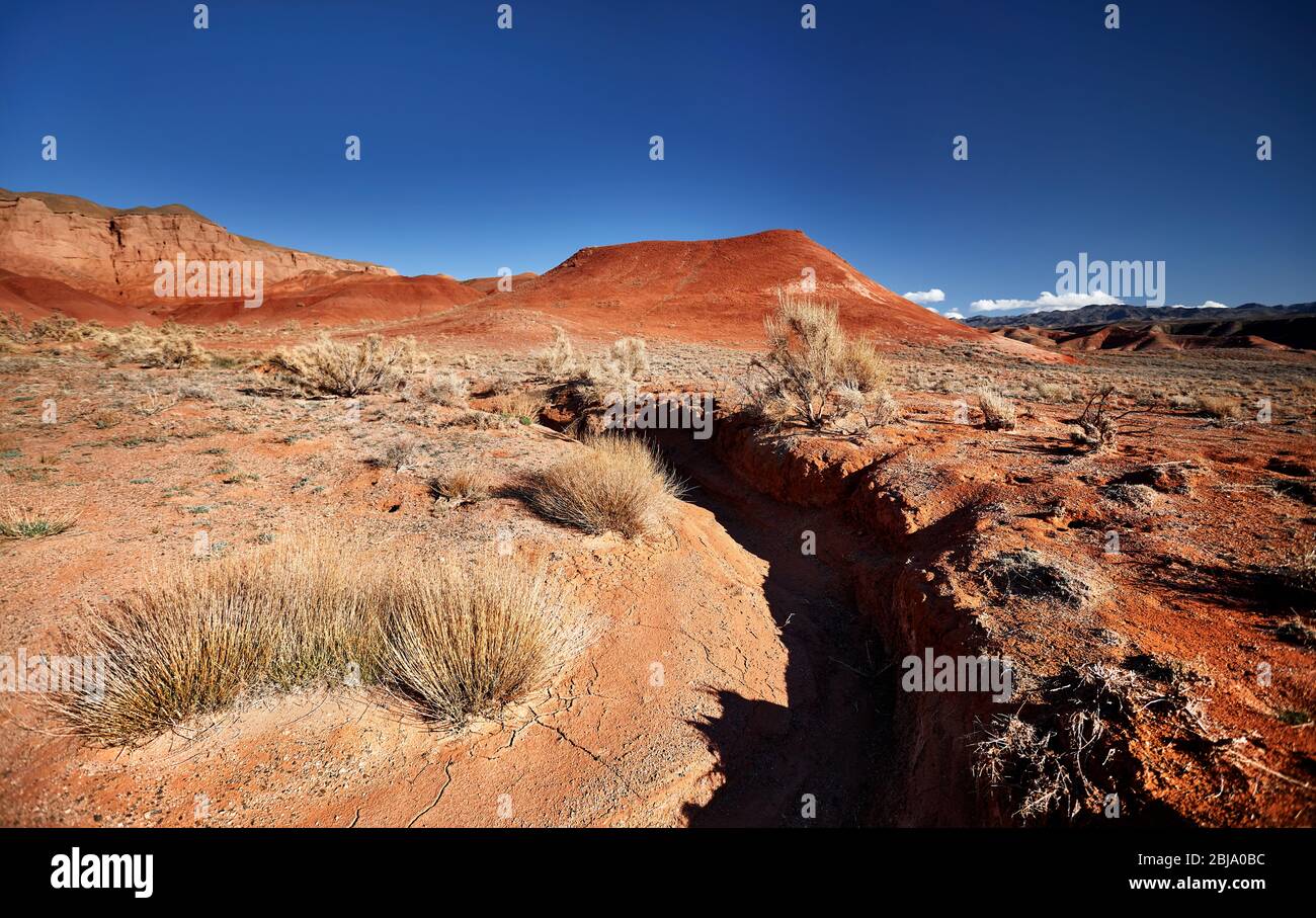 Beautiful canyon in the desert canyon against deep blue sky Stock Photo