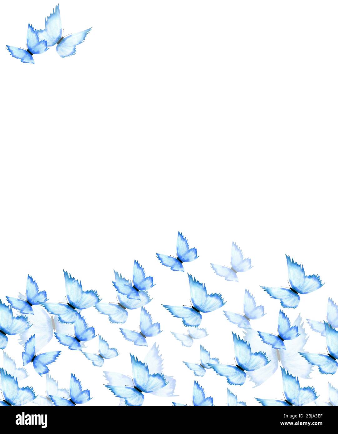 blue butterflies background, watercolor illustration with hand painted ...