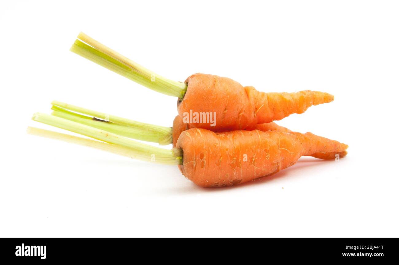baby carrot immature carrot on white background Stock Photo