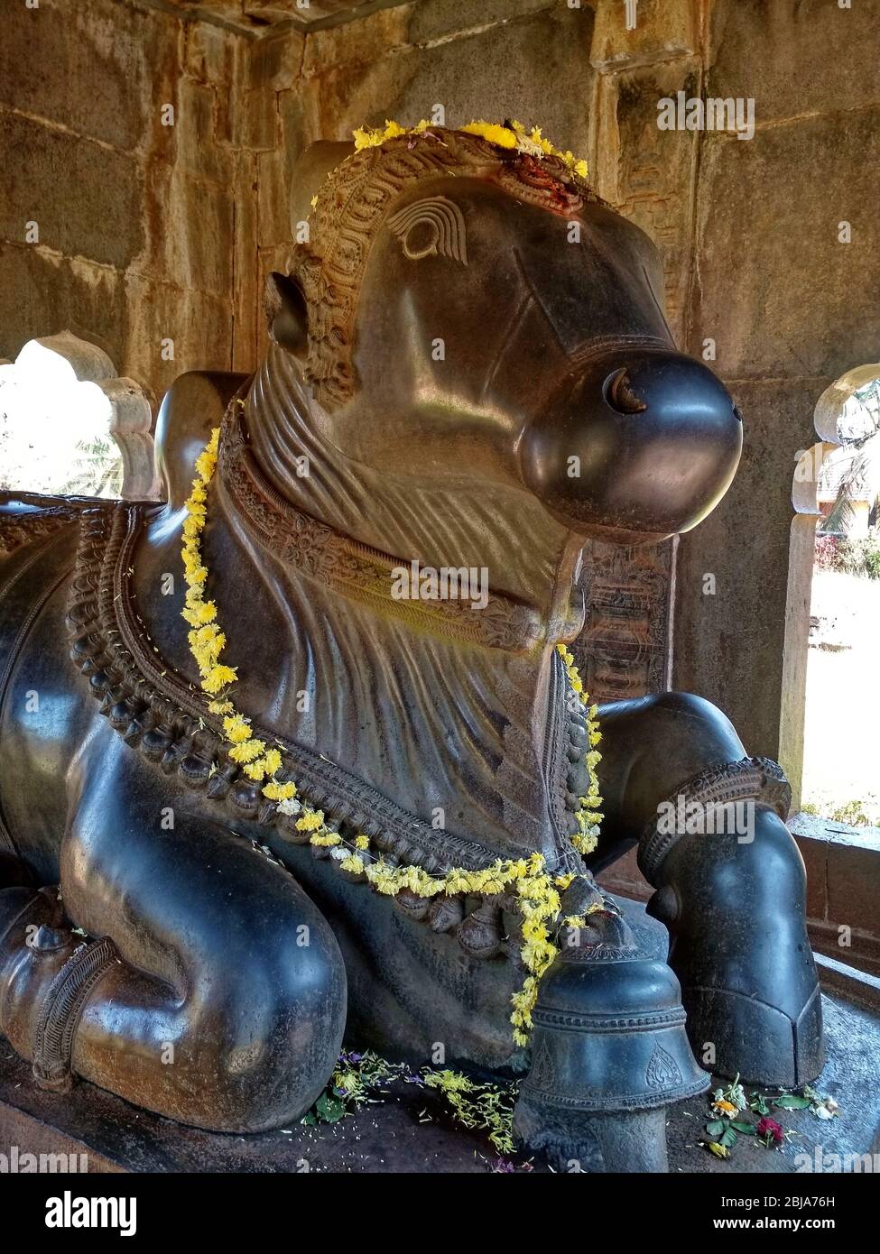 Statue of Nandi bull at Aghoreshwara temple Stock Photo Alamy