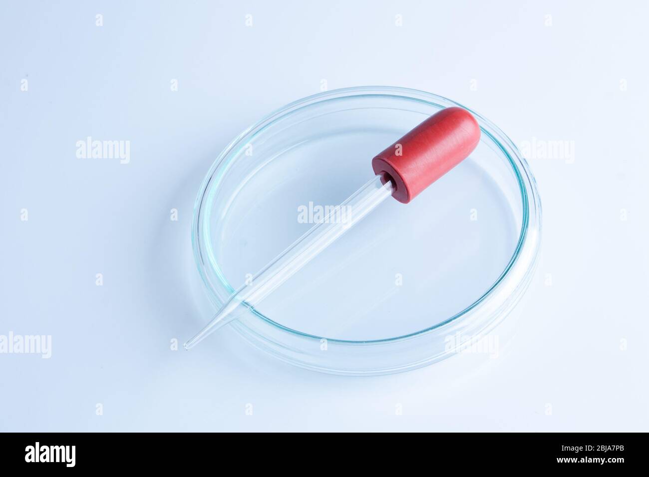 a petri dish aka petrie dish petri plate or cell culture dish