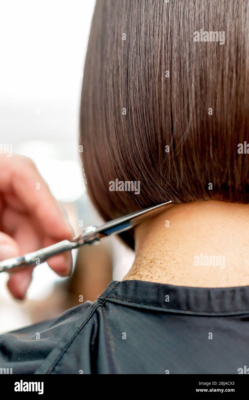 Hairdresser cuts hair tips of short hairstyle of woman back view with copy  space. Toned Stock Photo - Alamy