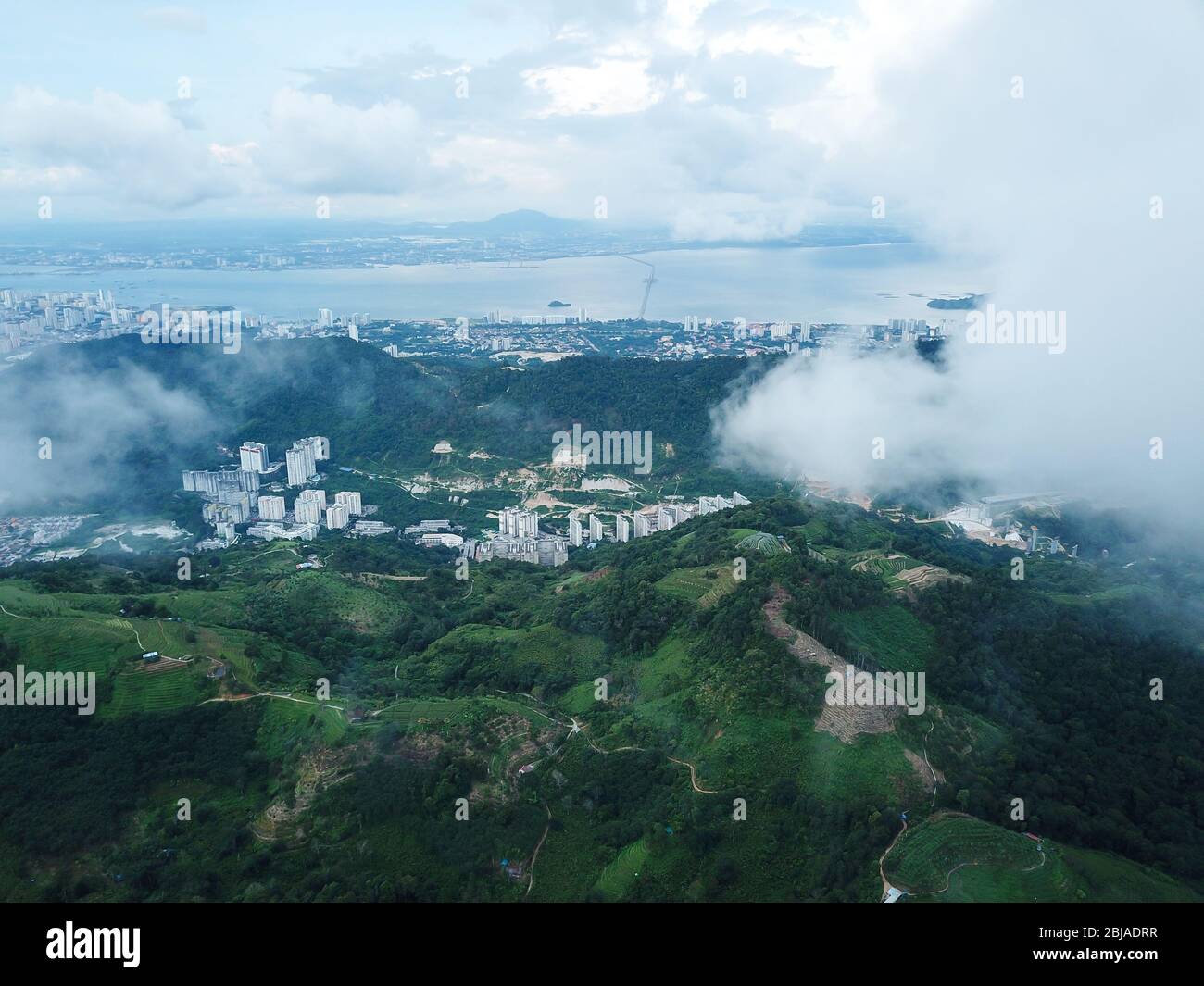 Aerial view green nature Penang plantation over Paya Terubong Stock