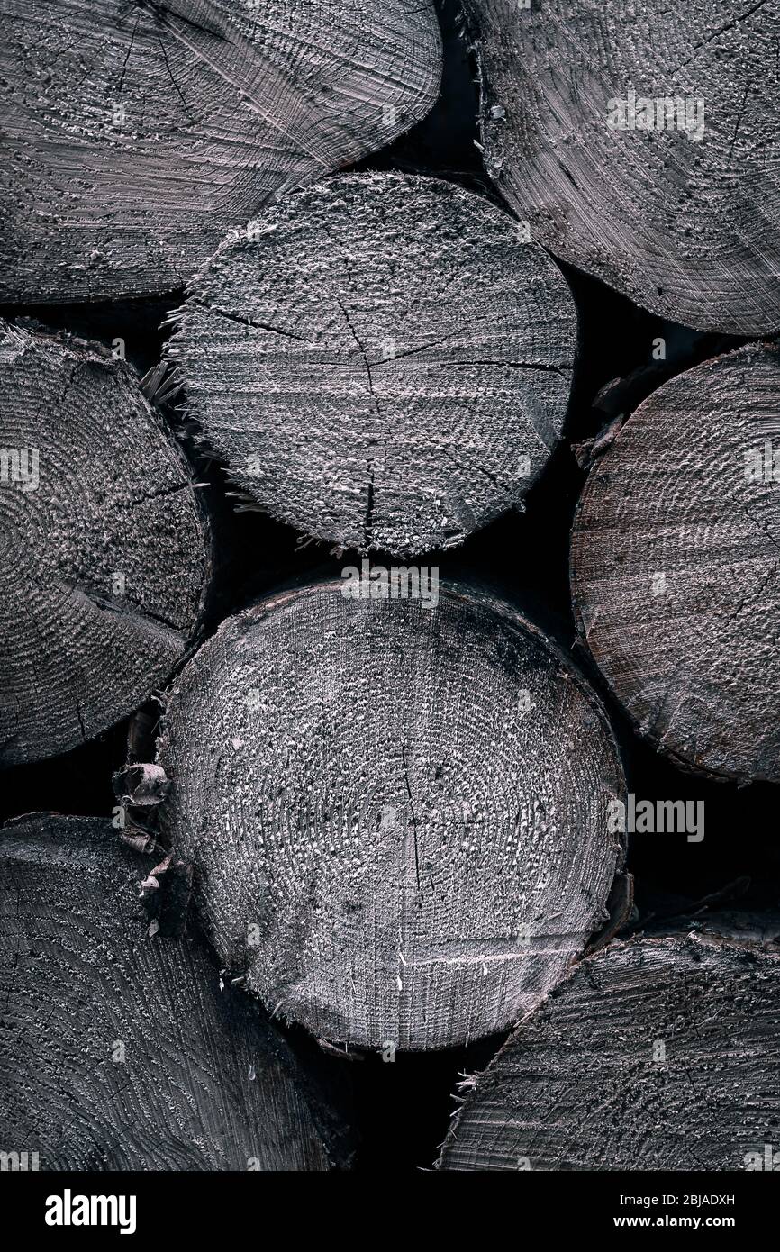 Background of dry chopped firewood logs stacked up on top of each other black blue Stock Photo