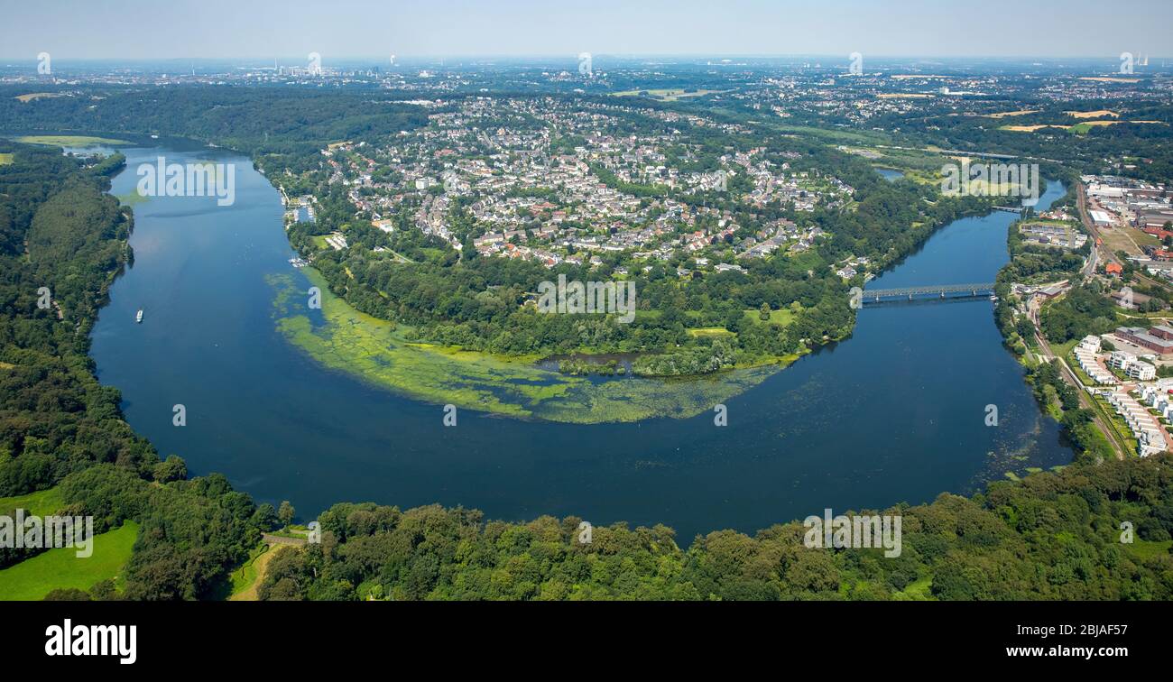 Nuttall waterweed, Western waterweed (Elodea nuttallii), Heisingen peninsula at Lake Baldeney with the Ruhrbogen, 19.07.2016, aerial view, Germany, North Rhine-Westphalia, Ruhr Area, Essen Stock Photo