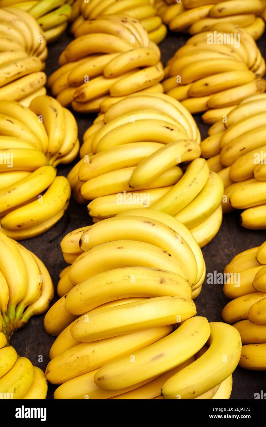 Natural ripe banana bunches on a local market, selective focus. Stock Photo