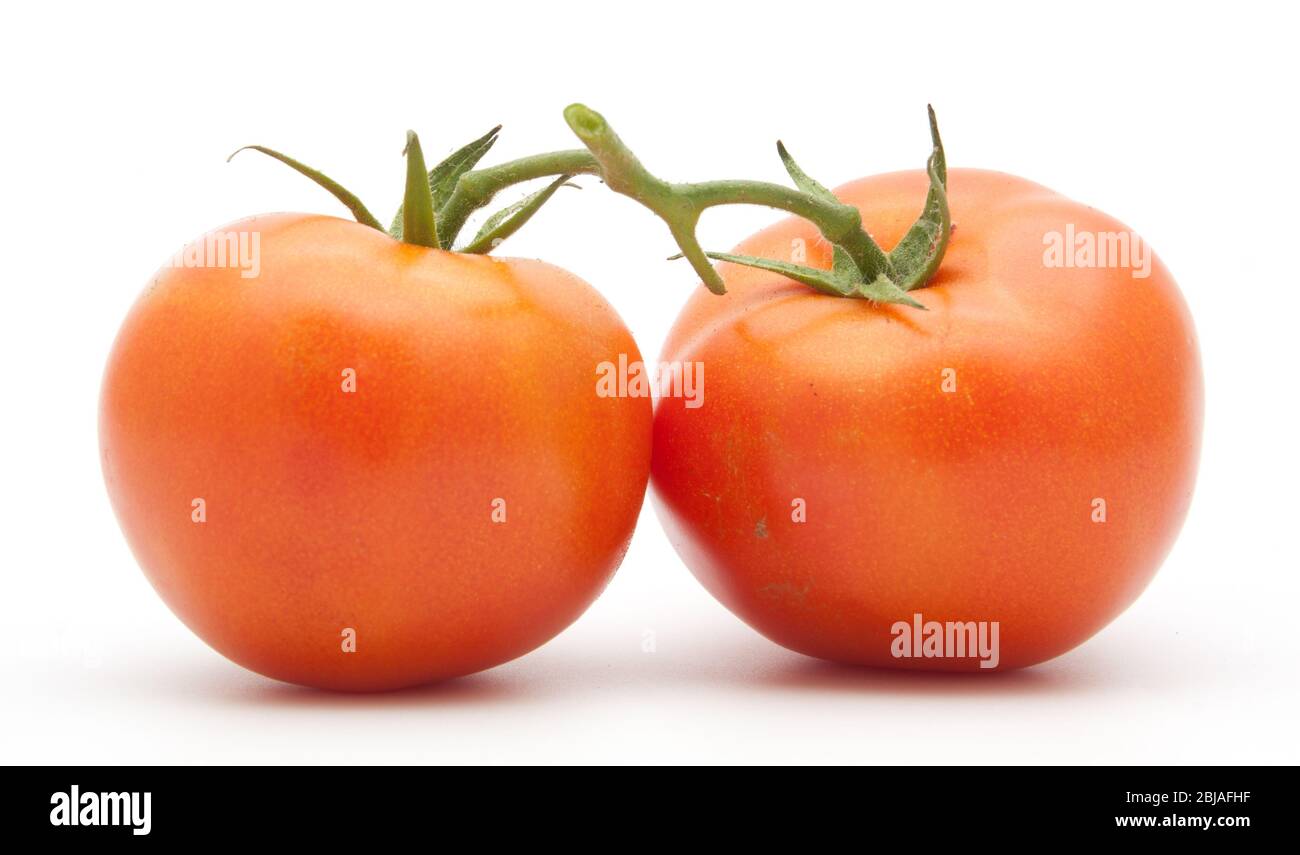 tomatoes isolated on white background Stock Photo - Alamy