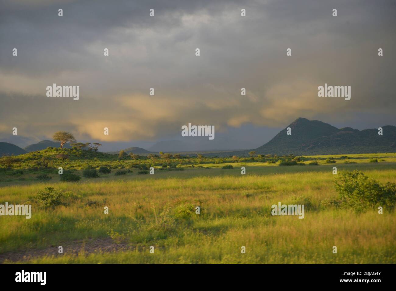 Storm clouds in Buffalo Springs, Kenya East Africa Stock Photo
