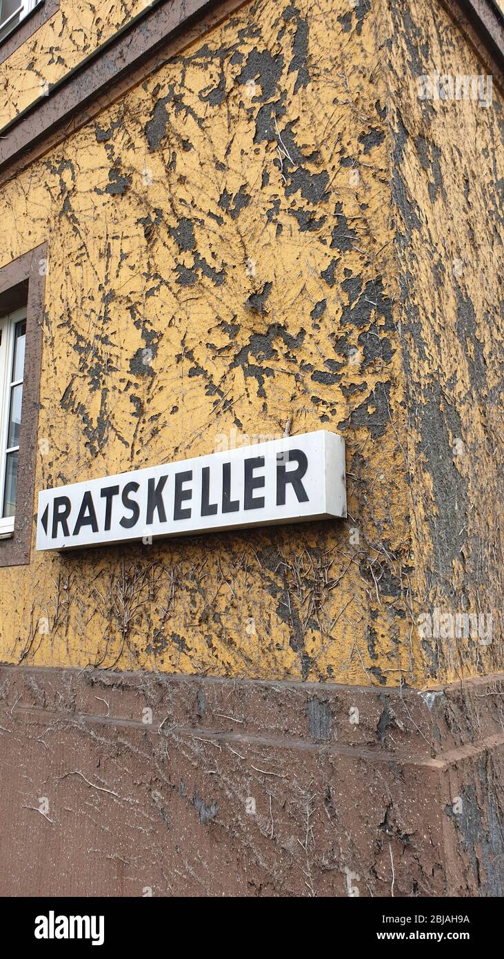 English ivy, common ivy (Hedera helix), house wall damaged by ivy