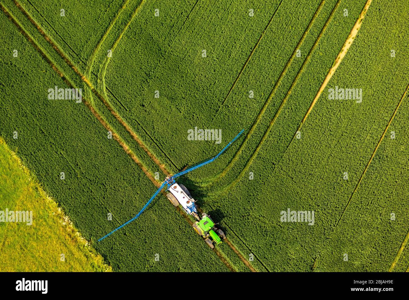 pesticide treatment on a field in Soerster Boerde, 07.06.2019, aerial view, Germany, North Rhine-Westphalia, Werl Stock Photo
