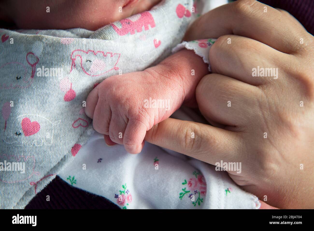 Newborn baby's hand Stock Photo Alamy