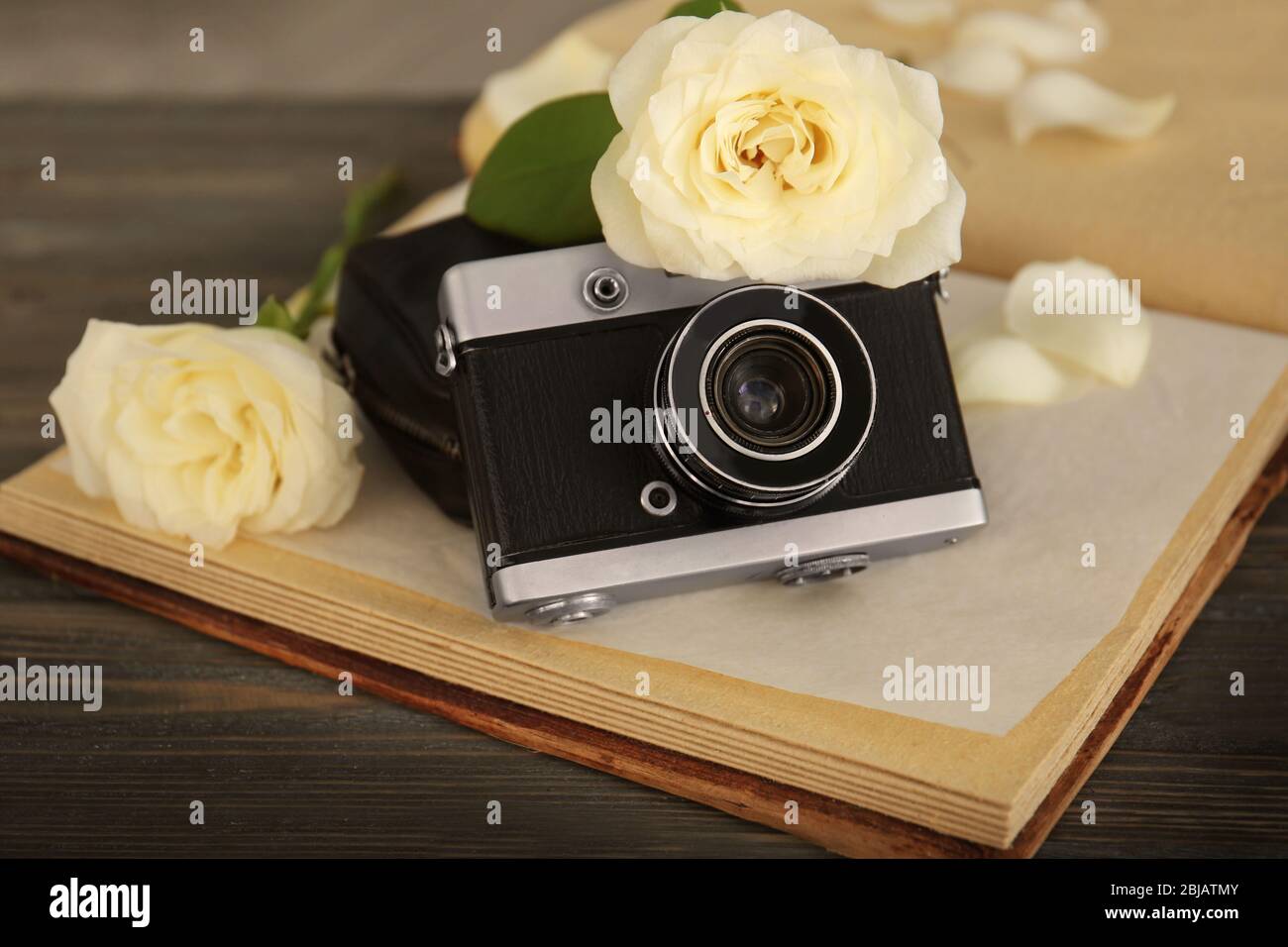 Silver photo album open hi-res stock photography and images - Alamy