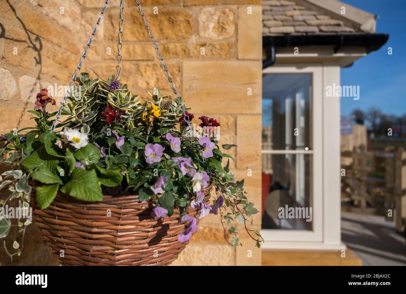 Pretty hanging basket outside a house in the UK. Stock Photo