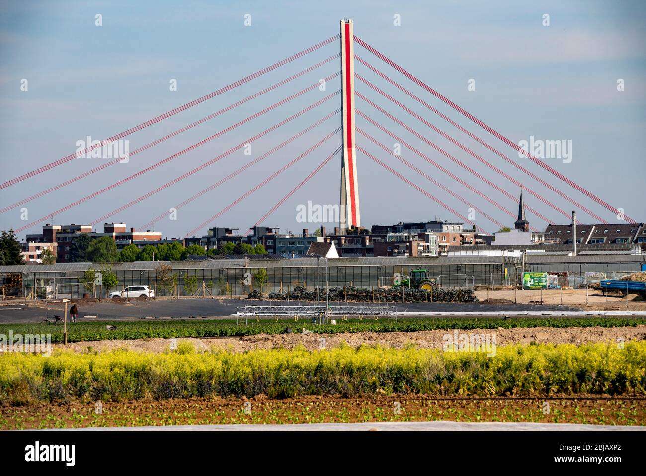 Agricultural businesses, horticulture in DŸsseldorf Volmerswerth, Fleher Bridge, motorway A46, NRW, Germany Stock Photo