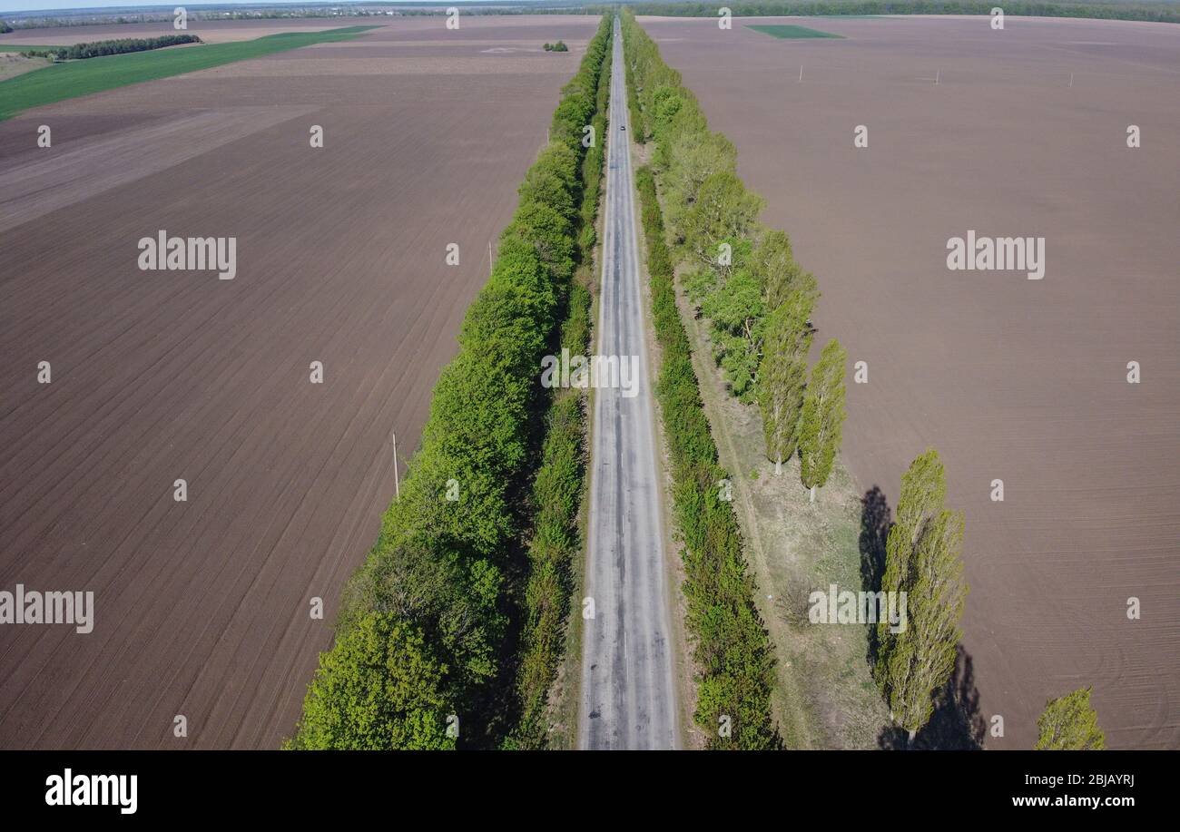 Road, fields and green trees on both sides of the road Stock Photo - Alamy