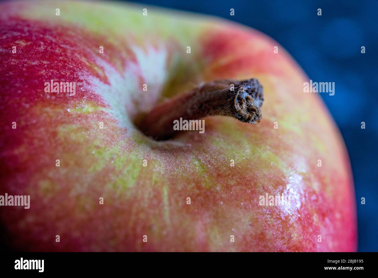 Royal gala apple stalk hires stock photography and images Alamy