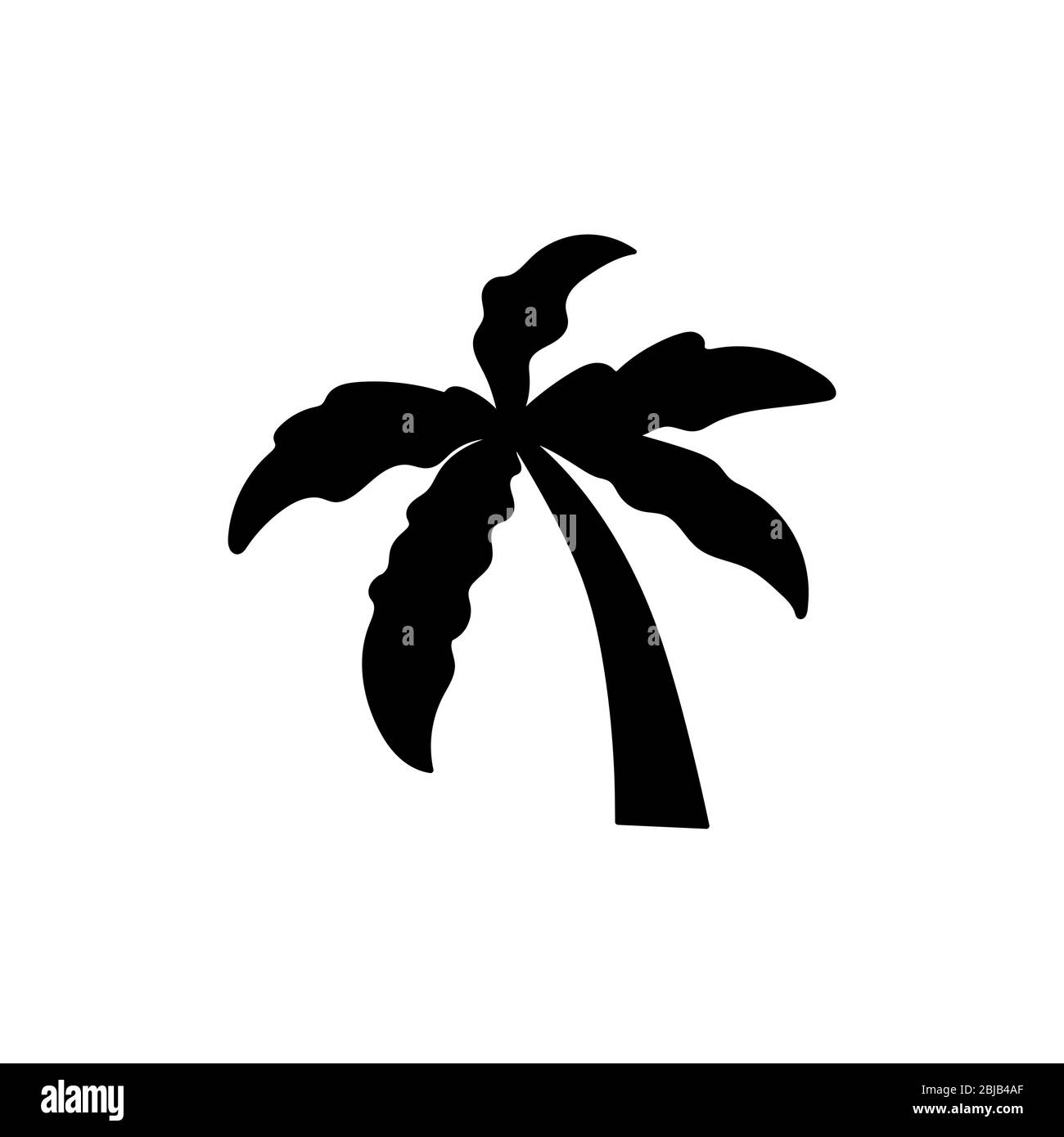 Coconut tree Black and White Stock Photos & Images Alamy